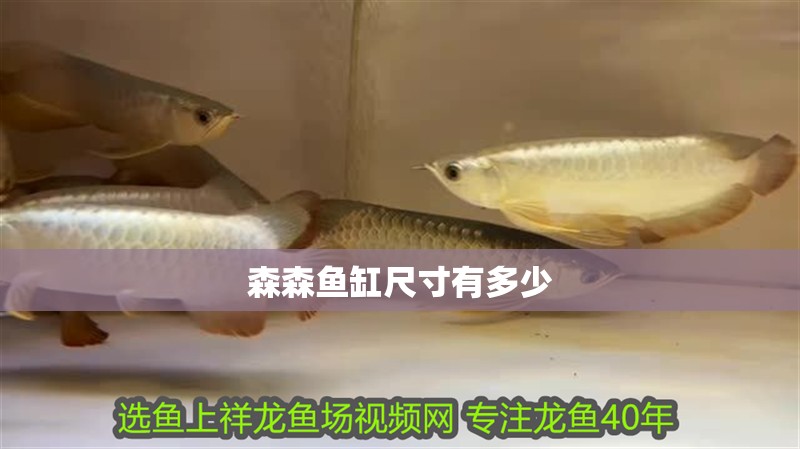 森森魚缸尺寸有多少