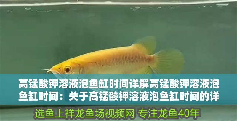 高錳酸鉀溶液泡魚缸時間詳解高錳酸鉀溶液泡魚缸時間：關(guān)于高錳酸鉀溶液泡魚缸時間的詳細指南