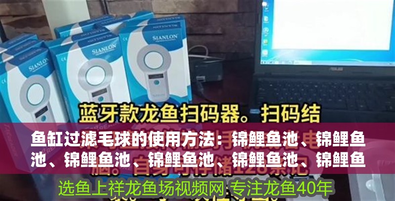 魚缸過濾毛球的使用方法：錦鯉魚池、錦鯉魚池、錦鯉魚池、錦鯉魚池、錦鯉魚池、錦鯉魚池 魚缸過濾毛球的使用方法：錦鯉魚池、錦鯉魚池、錦鯉魚池、錦鯉魚池、錦鯉魚池、錦鯉魚池 魚缸百科
