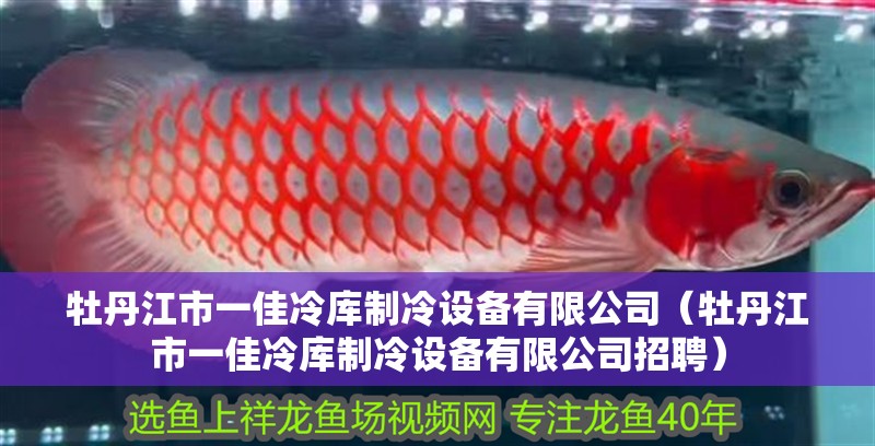 牡丹江市一佳冷庫制冷設備有限公司（牡丹江市一佳冷庫制冷設備有限公司招聘）