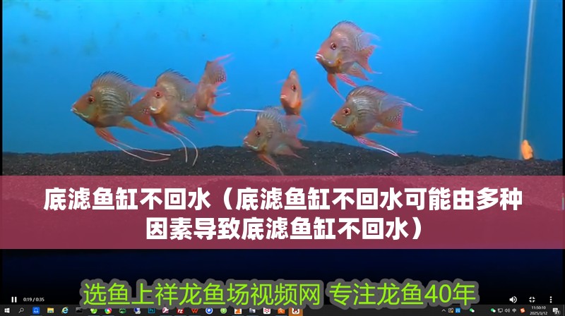 底濾魚缸不回水（底濾魚缸不回水可能由多種因素導致底濾魚缸不回水）