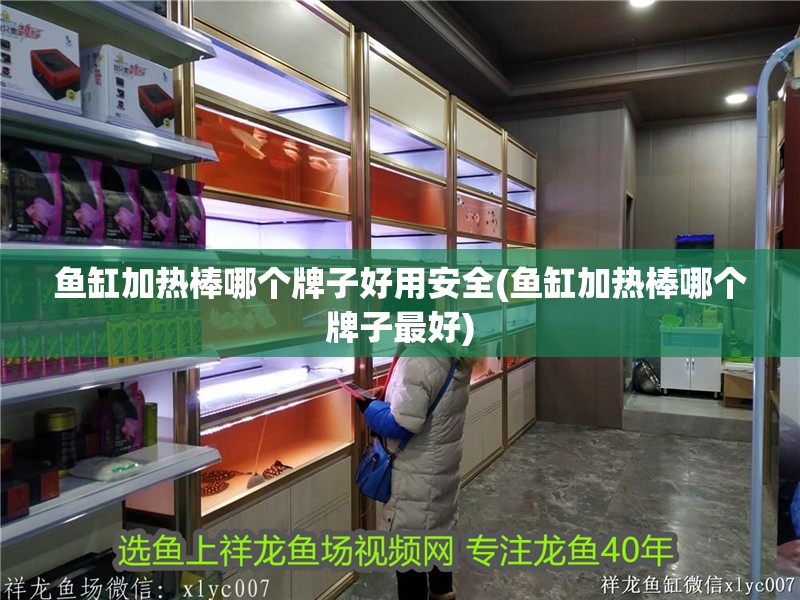 魚缸加熱棒哪個牌子好用安全(魚缸加熱棒哪個牌子最好)