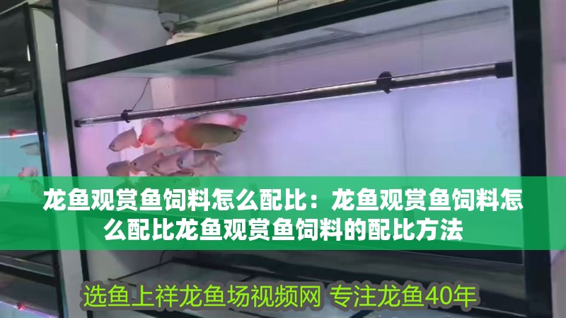 龍魚觀賞魚飼料怎么配比：龍魚觀賞魚飼料怎么配比龍魚觀賞魚飼料的配比方法