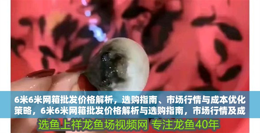 6米6米網箱批發價格解析，選購指南、市場行情與成本優化策略，6米6米網箱批發價格解析與選購指南，市場行情及成本優化策略
