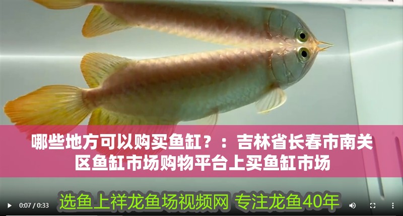 哪些地方可以購買魚缸？：吉林省長春市南關區魚缸市場購物平臺上買魚缸市場