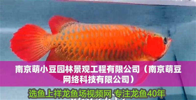 南京萌小豆園林景觀工程有限公司（南京萌豆網(wǎng)絡(luò)科技有限公司）