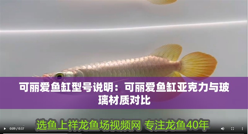 可麗愛(ài)魚缸型號(hào)說(shuō)明：可麗愛(ài)魚缸亞克力與玻璃材質(zhì)對(duì)比