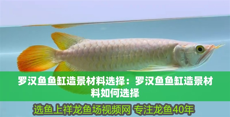 羅漢魚魚缸造景材料選擇：羅漢魚魚缸造景材料如何選擇