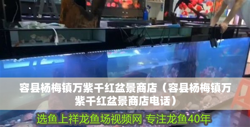 容縣楊梅鎮(zhèn)萬(wàn)紫千紅盆景商店（容縣楊梅鎮(zhèn)萬(wàn)紫千紅盆景商店電話）