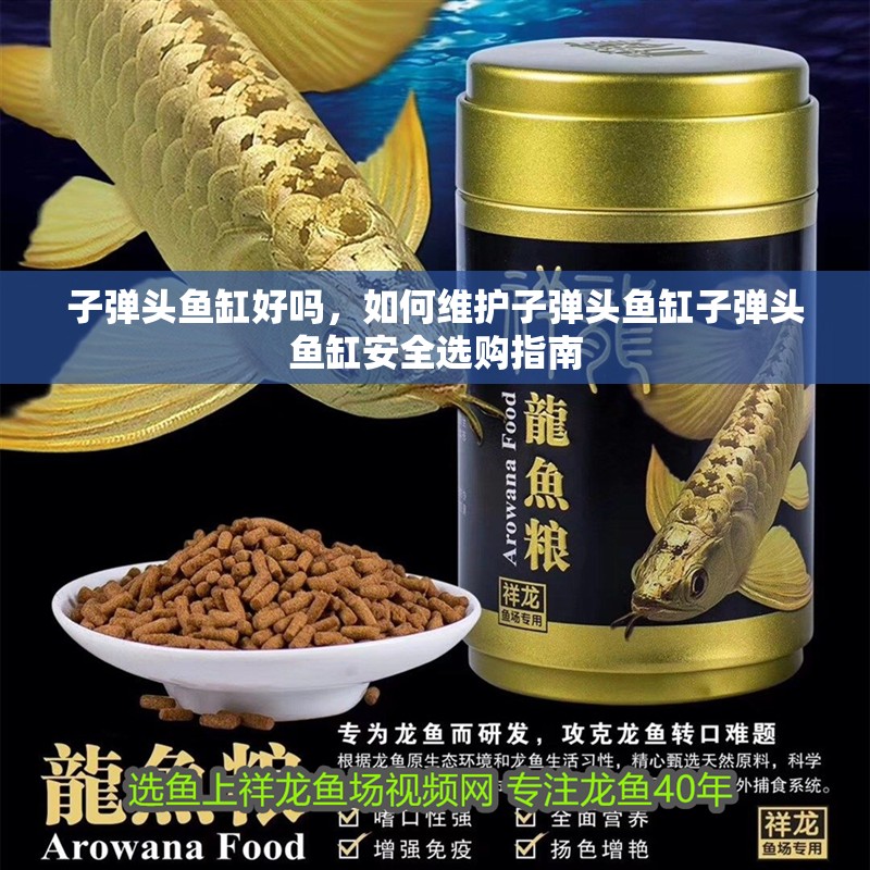 子彈頭魚缸好嗎，如何維護子彈頭魚缸子彈頭魚缸安全選購指南