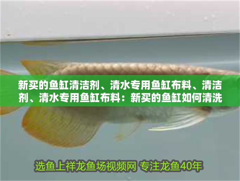 新買的魚(yú)缸清潔劑、清水專用魚(yú)缸布料、清潔劑、清水專用魚(yú)缸布料：新買的魚(yú)缸如何清洗？