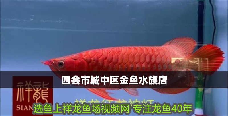 四會市<strong><mark>城中</mark></strong>區金魚水族店