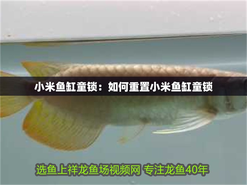 小米魚缸童鎖：如何重置小米魚缸童鎖