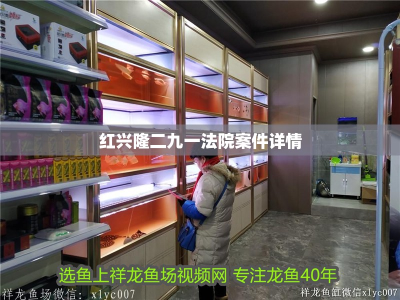 紅興隆二九一法院案件詳情