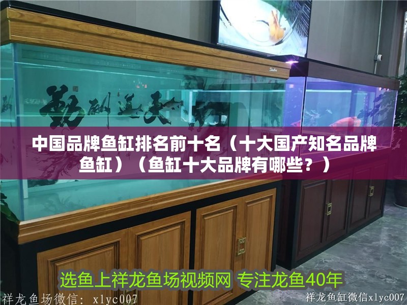 中國品牌魚缸排名前十名（十大國產知名品牌魚缸）（魚缸十大品牌有哪些？）