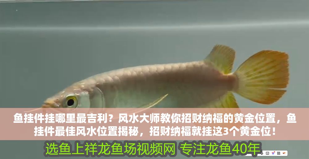 魚掛件掛哪里最吉利？風水大師教你招財納福的黃金位置，魚掛件最佳風水位置揭秘，招財納福就掛這3個黃金位！ 魚掛件掛哪里最吉利？風水大師教你招財納福的黃金位置，魚掛件最佳風水位置揭秘，招財納福就掛這3個黃金位！ 龍魚百科 第1張