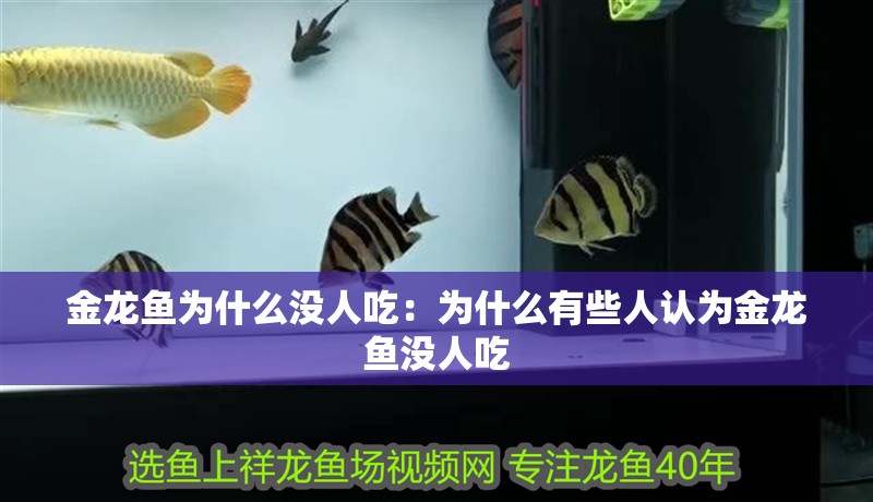 金龍魚為什么沒人吃：為什么有些人認為金龍魚沒人吃