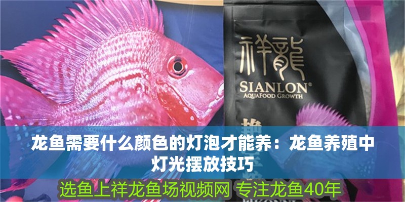 龍魚需要什么顏色的燈泡才能養：龍魚養殖中燈光擺放技巧 龍魚需要什么顏色的燈泡才能養：龍魚養殖中燈光擺放技巧 龍魚百科