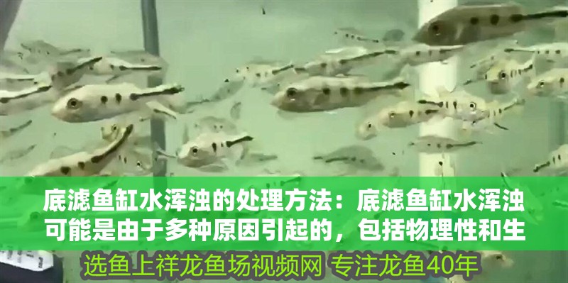 底濾魚缸水渾濁的處理方法：底濾魚缸水渾濁可能是由于多種原因引起的，包括物理性和生物性渾濁