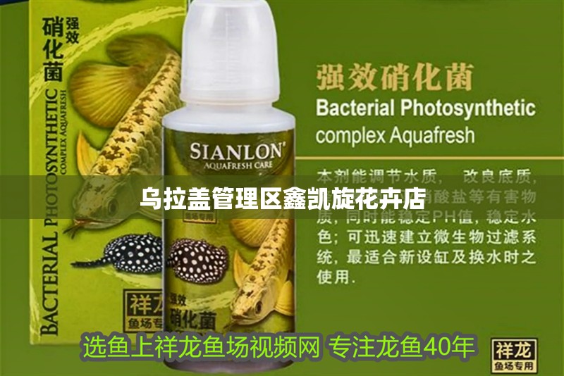 烏拉蓋管理區鑫凱旋花卉店