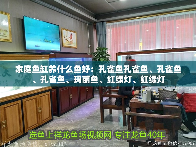 魚缸用增氧泵價格是多少:魚缸增氧機-xtrac增氧機-xtrac增氧機 家庭魚缸養什么魚好:孔雀魚孔雀魚、孔雀魚、孔雀魚、瑪麗魚、紅綠燈、紅綠燈 魚缸百科 家庭魚缸養什么魚好:孔雀魚孔雀魚、孔雀魚、孔雀魚、瑪麗魚、紅綠燈、紅綠燈 家庭魚缸養什么魚好:孔雀魚孔雀魚、孔雀魚、孔雀魚、瑪麗魚、紅綠燈、紅綠燈 魚缸百科