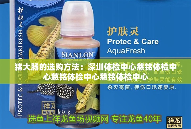 豬大腸的選購方法：深圳體檢中心慈銘體檢中心慈銘體檢中心慈銘體檢中心