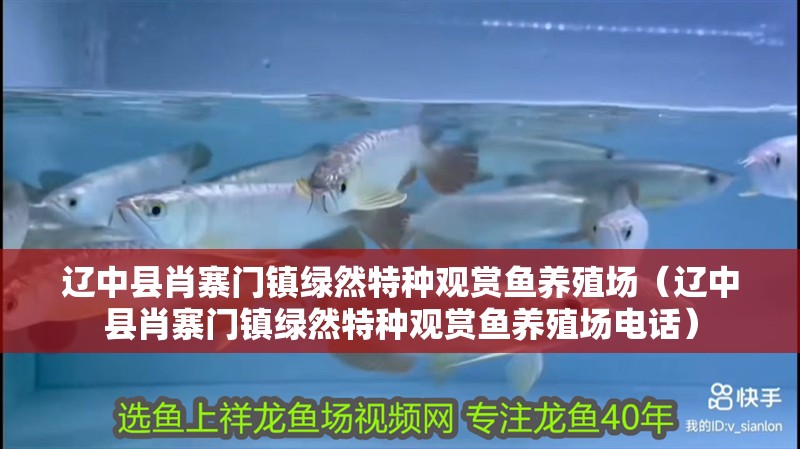 遼中縣肖寨門鎮綠然特種觀賞魚養殖場（遼中縣肖寨門鎮綠然特種觀賞魚養殖場電話）