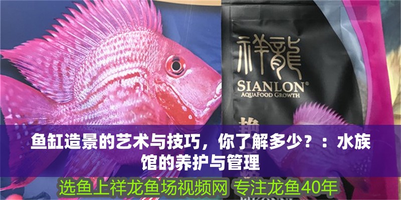 魚缸造景的藝術(shù)與技巧，你了解多少？：水族館的養(yǎng)護(hù)與管理