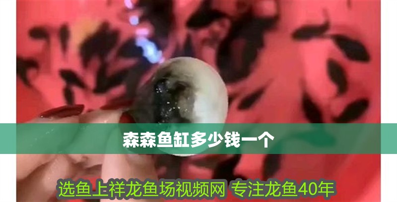 森森魚缸多少錢一個(gè)