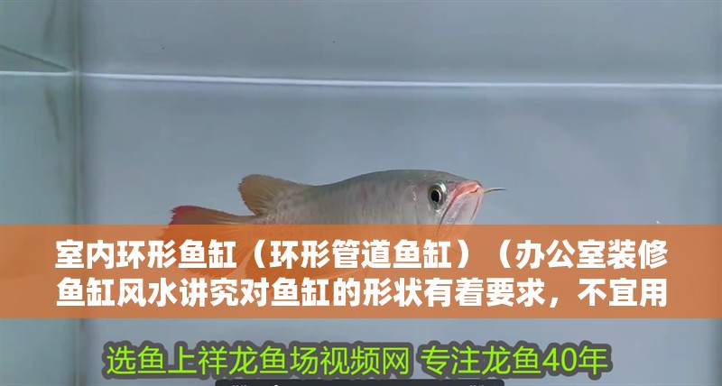 室內(nèi)環(huán)形魚缸（環(huán)形管道魚缸）（辦公室裝修魚缸風(fēng)水講究對(duì)魚缸的形狀有著要求，不宜用在財(cái)位上布局催財(cái)）