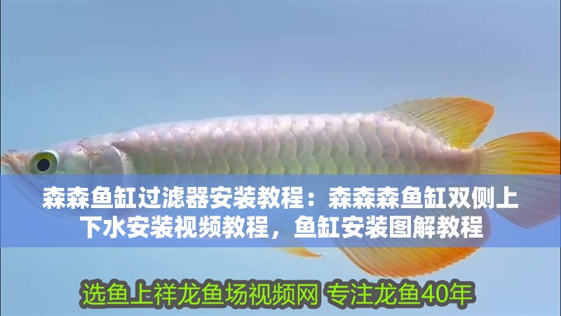 森森魚缸過濾器安裝教程：森森森魚缸雙側上下水安裝視頻教程，魚缸安裝圖解教程