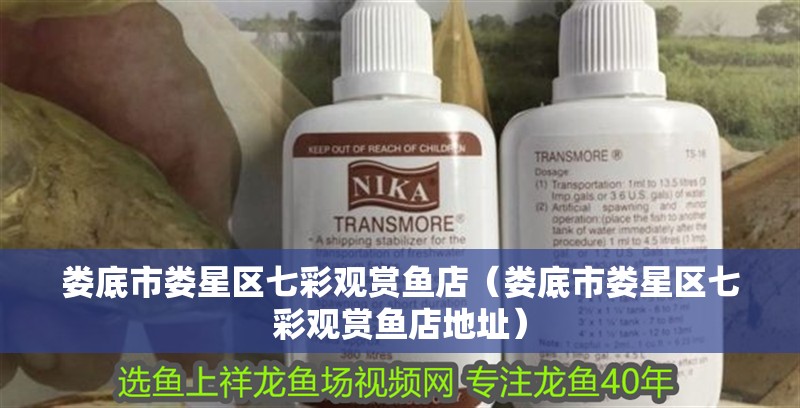 婁底市婁星區七彩觀賞魚店（婁底市婁星區七彩觀賞魚店地址）