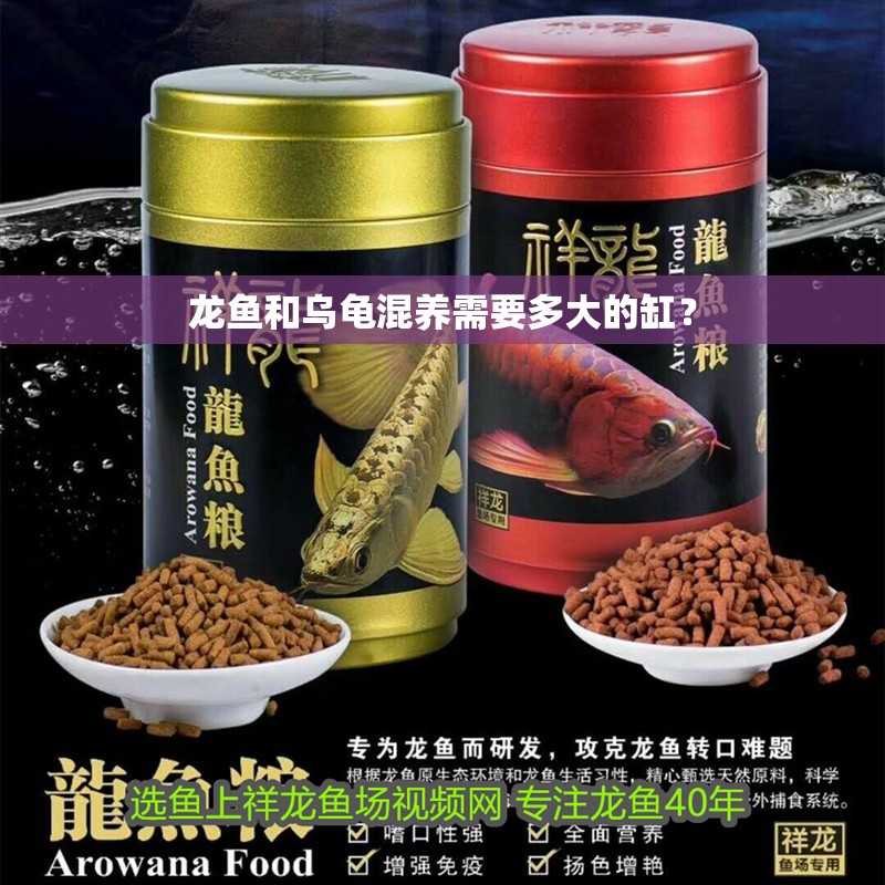 龍魚和烏龜混養需要多大的缸？