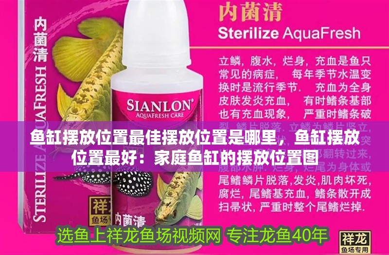 魚(yú)缸擺放位置最佳擺放位置是哪里，魚(yú)缸擺放位置最好：家庭魚(yú)缸的擺放位置圖