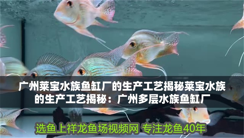 廣州萊寶水族魚缸廠的生產工藝揭秘萊寶水族的生產工藝揭秘：廣州多層水族魚缸廠