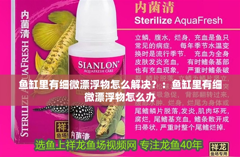 魚缸里有細微漂浮物怎么解決？：魚缸里有細微漂浮物怎么辦
