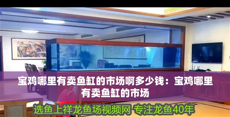 寶雞哪里有賣魚缸的市場啊多少錢：寶雞哪里有賣魚缸的市場