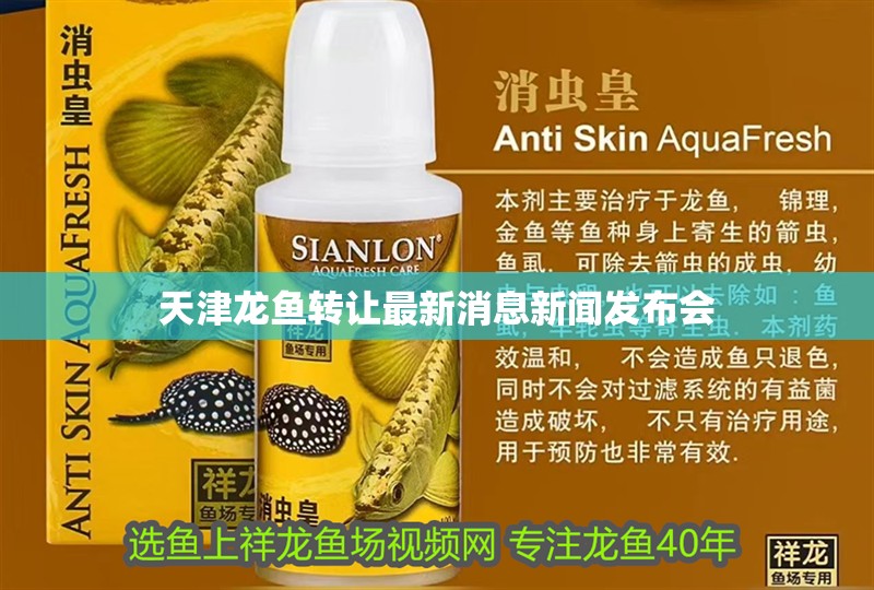天津龍魚轉讓最新消息新聞發布會