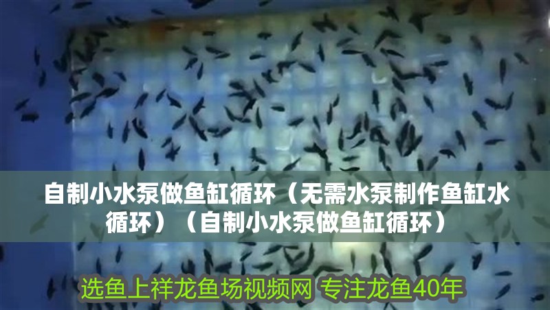自制小水泵做魚(yú)缸循環(huán)（無(wú)需水泵制作魚(yú)缸水循環(huán)）（自制小水泵做魚(yú)缸循環(huán)）