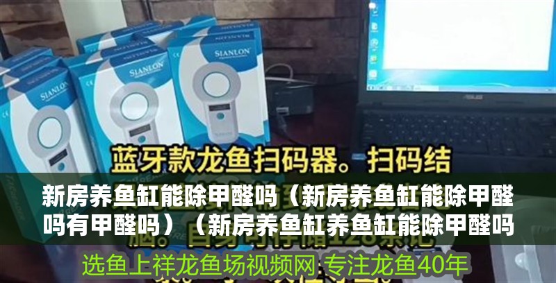 新房養(yǎng)魚缸能除甲醛嗎（新房養(yǎng)魚缸能除甲醛嗎有甲醛嗎）（新房養(yǎng)魚缸養(yǎng)魚缸能除甲醛嗎，新房養(yǎng)魚缸能除甲醛嗎）