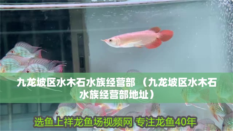 九龍坡區水木石水族經營部 （九龍坡區水木石水族經營部地址）