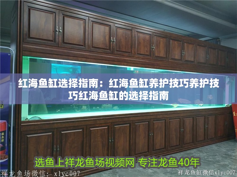 紅海魚缸選擇指南：紅海魚缸養(yǎng)護技巧養(yǎng)護技巧紅海魚缸的選擇指南