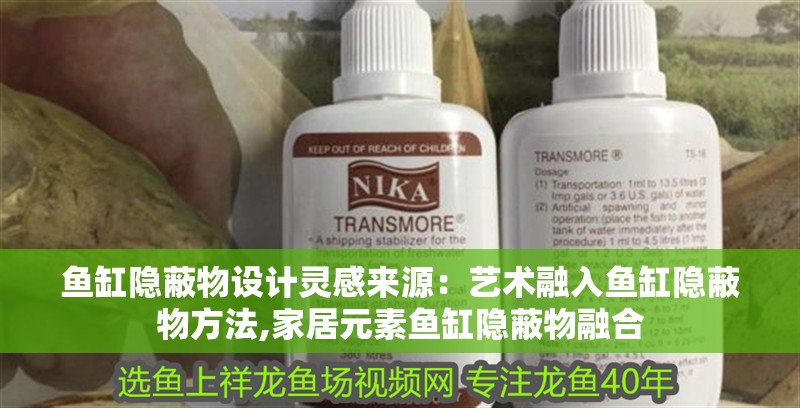 魚缸隱蔽物設(shè)計(jì)靈感來源：藝術(shù)融入魚缸隱蔽物方法,家居元素魚缸隱蔽物融合