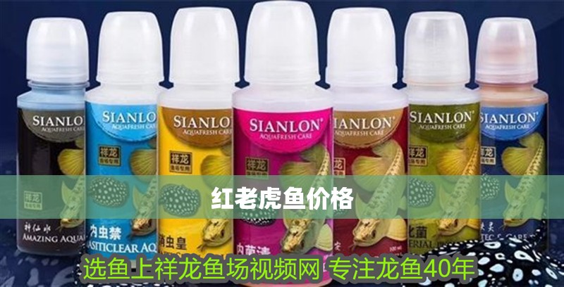 紅老虎魚價格