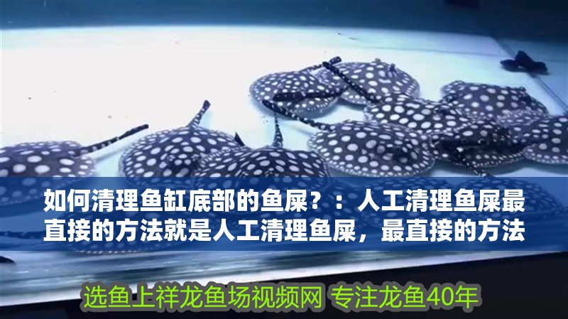 如何清理魚缸底部的魚屎？：人工清理魚屎最直接的方法就是人工清理魚屎，最直接的方法是什么
