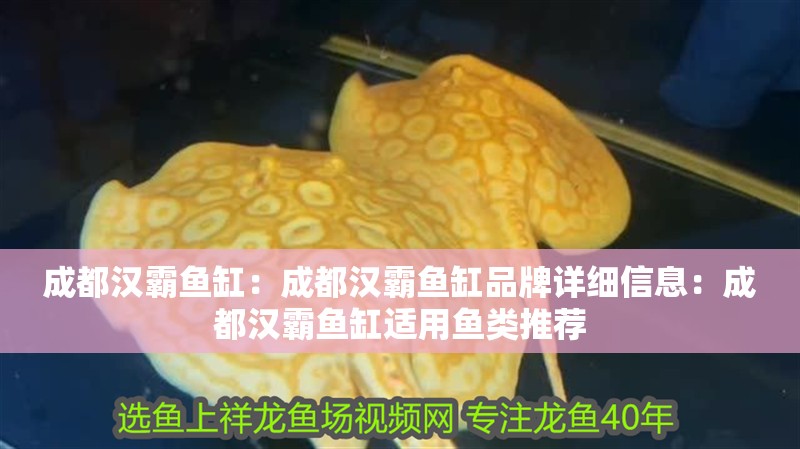 <strong><mark>成都</mark></strong>漢霸魚缸：<strong><mark>成都</mark></strong>漢霸魚缸品牌詳細信息：<strong><mark>成都</mark></strong>漢霸魚缸適用魚類推薦