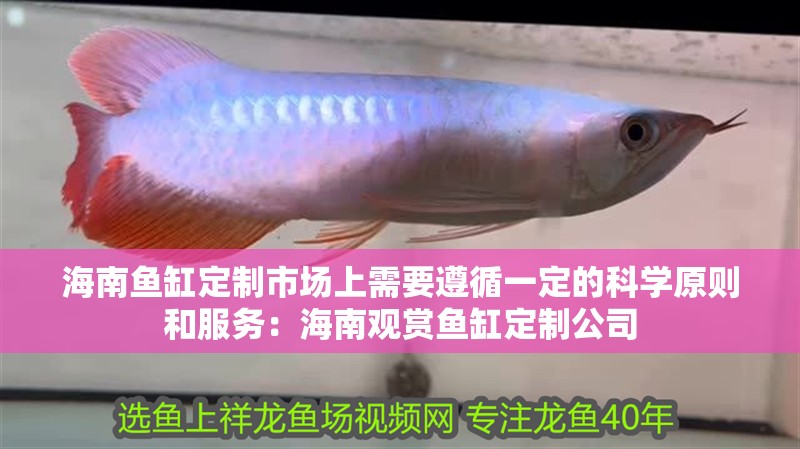 <strong><mark>海南</mark></strong>魚(yú)缸定制市場(chǎng)上需要遵循一定的科學(xué)原則和服務(wù)：<strong><mark>海南</mark></strong>觀賞魚(yú)缸定制公司