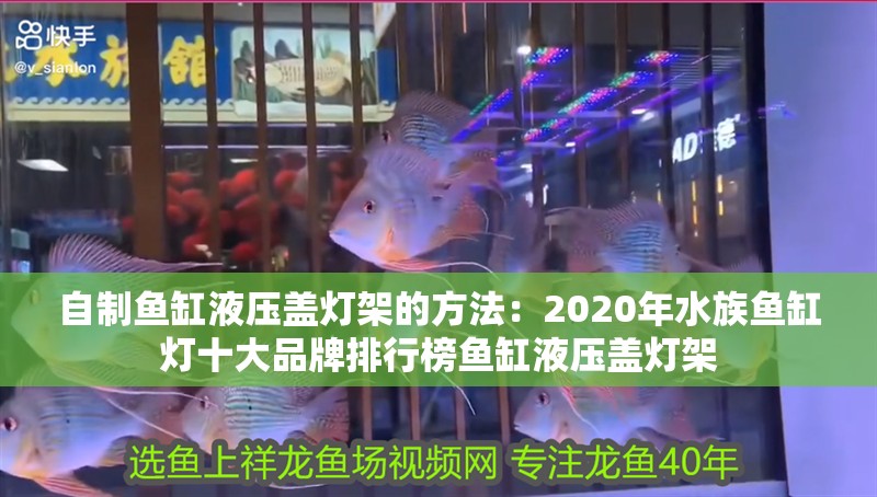 自制魚缸液壓蓋燈架的方法：2020年水族魚缸燈十大品牌排行榜魚缸液壓蓋燈架