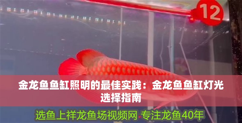 金龍魚魚缸照明的最佳實(shí)踐：金龍魚魚缸燈光選擇指南