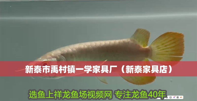 新泰市禹村鎮(zhèn)一學(xué)家具廠（新泰家具店）